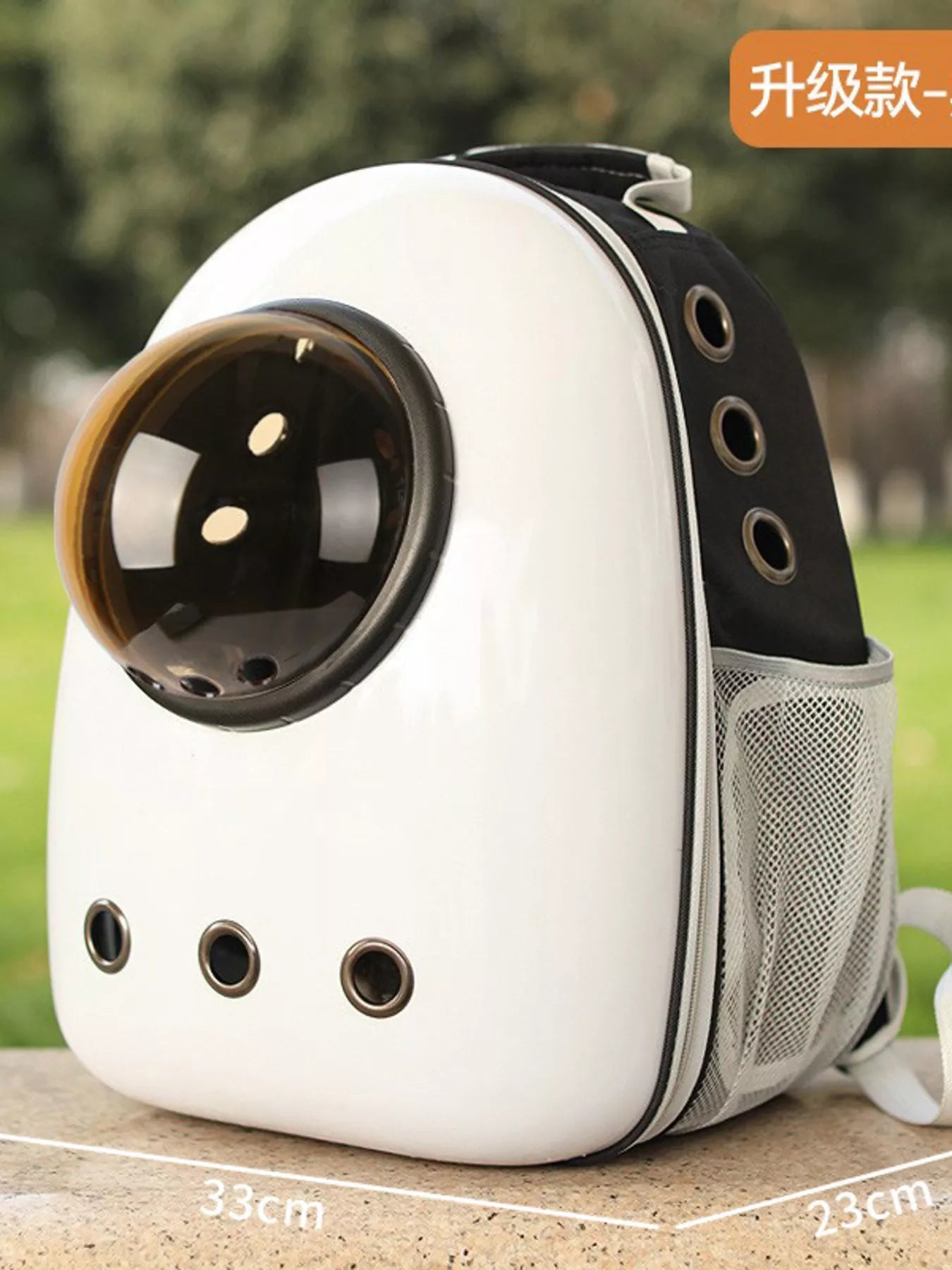 Space Capsule Transparent Pet Carrier Backpack Cat Dog Travel Bag