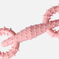Dog Chew Toy Pull Ring Durable Gnawing Interactive Pet Training Toy