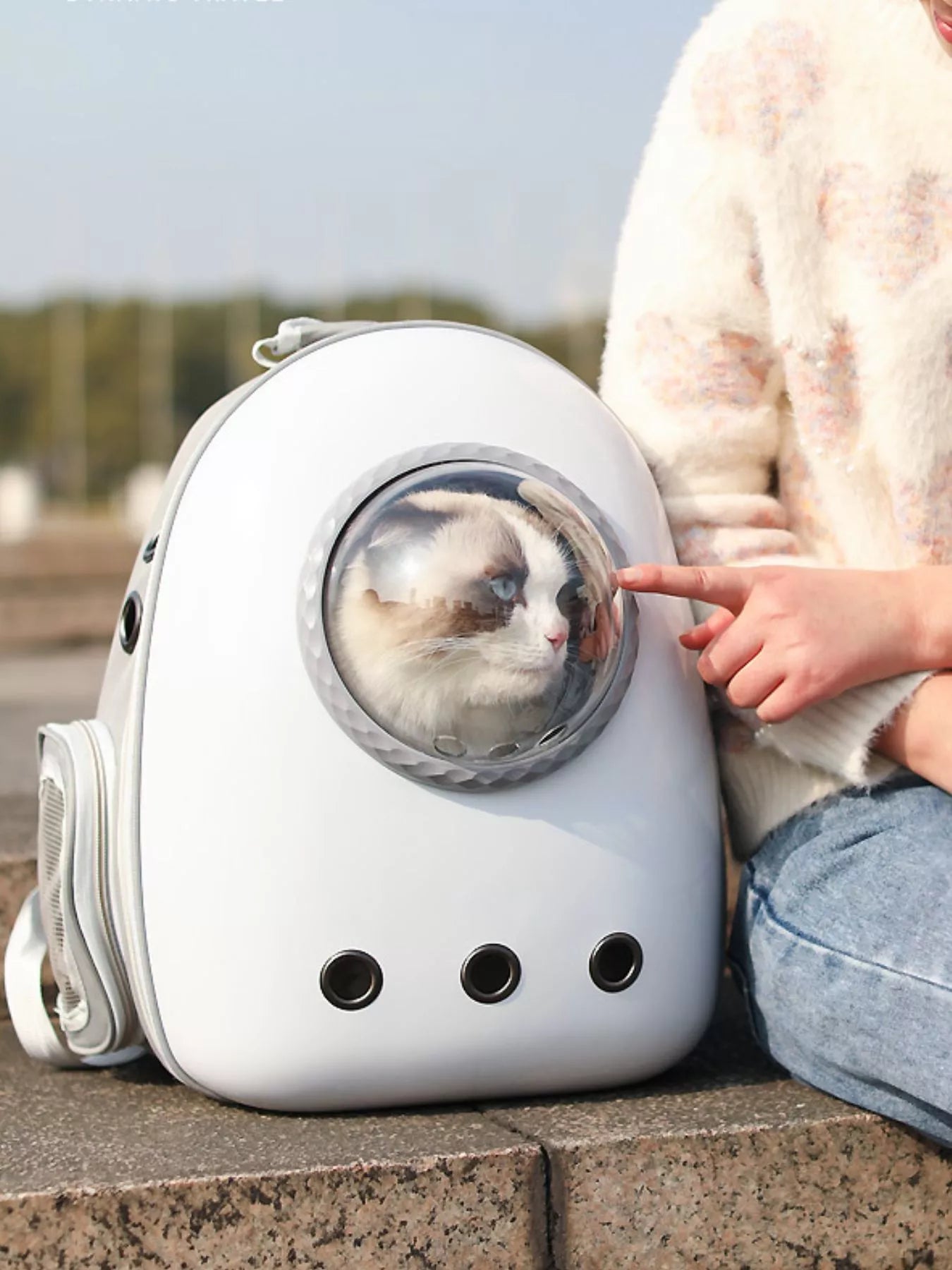 Space Capsule Transparent Pet Carrier Backpack Cat Dog Travel Bag