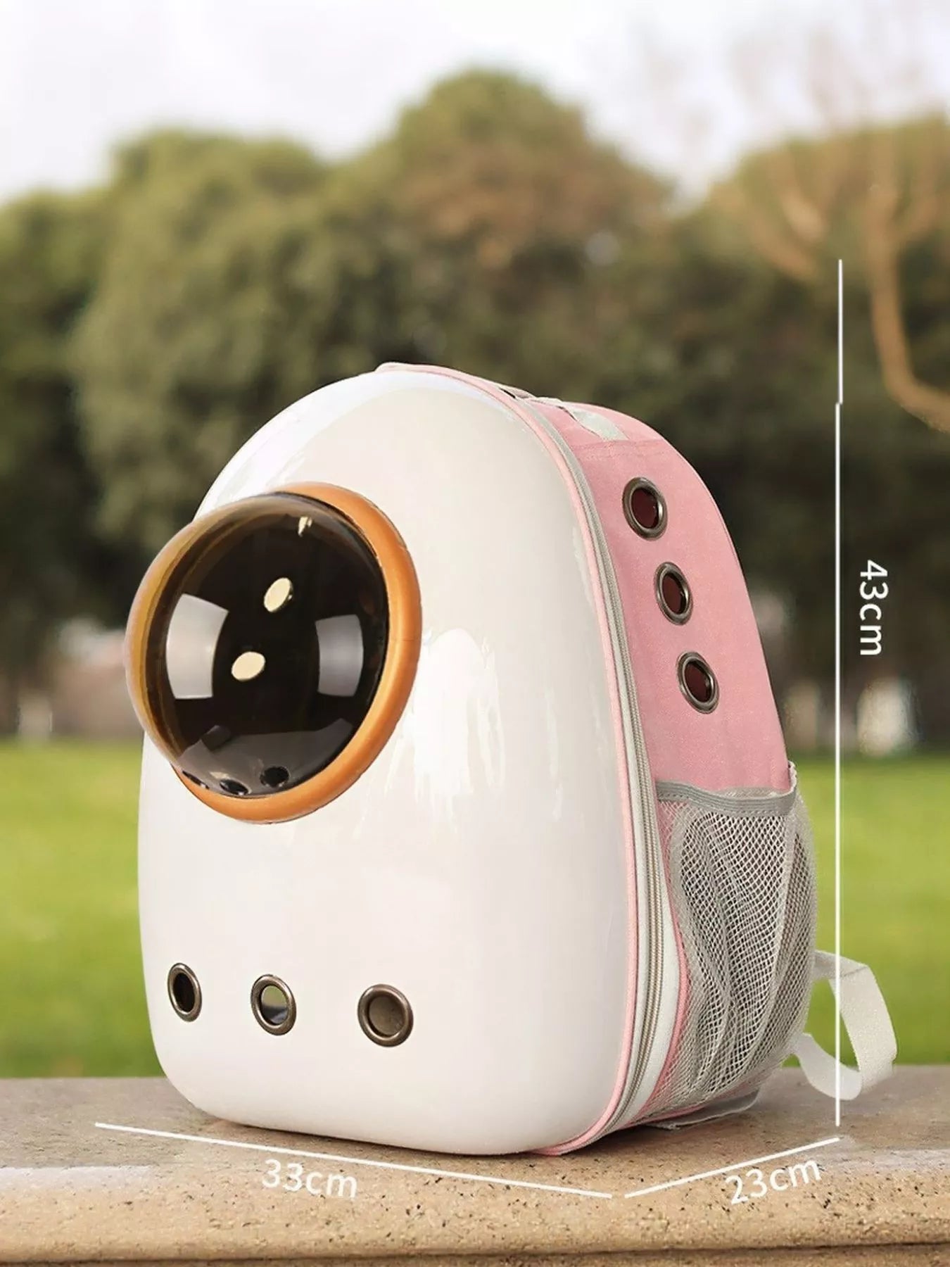 Space Capsule Transparent Pet Carrier Backpack Cat Dog Travel Bag