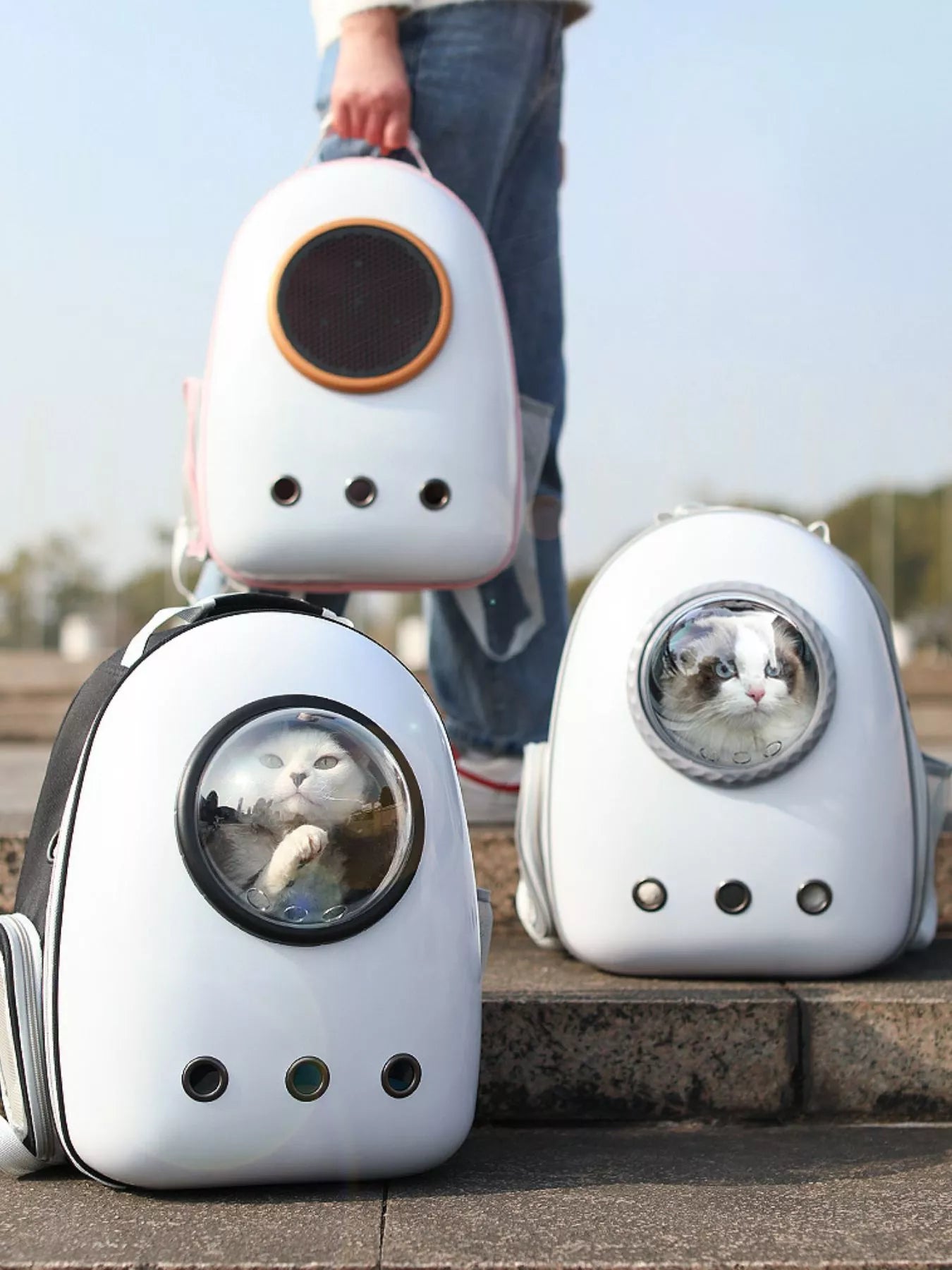 Space Capsule Transparent Pet Carrier Backpack Cat Dog Travel Bag