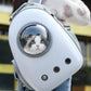 Space Capsule Transparent Pet Carrier Backpack Cat Dog Travel Bag