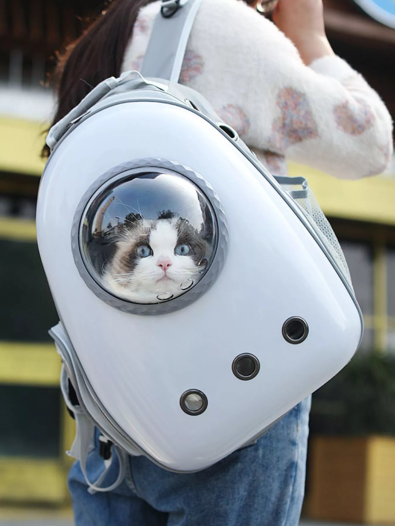 Space Capsule Transparent Pet Carrier Backpack Cat Dog Travel Bag