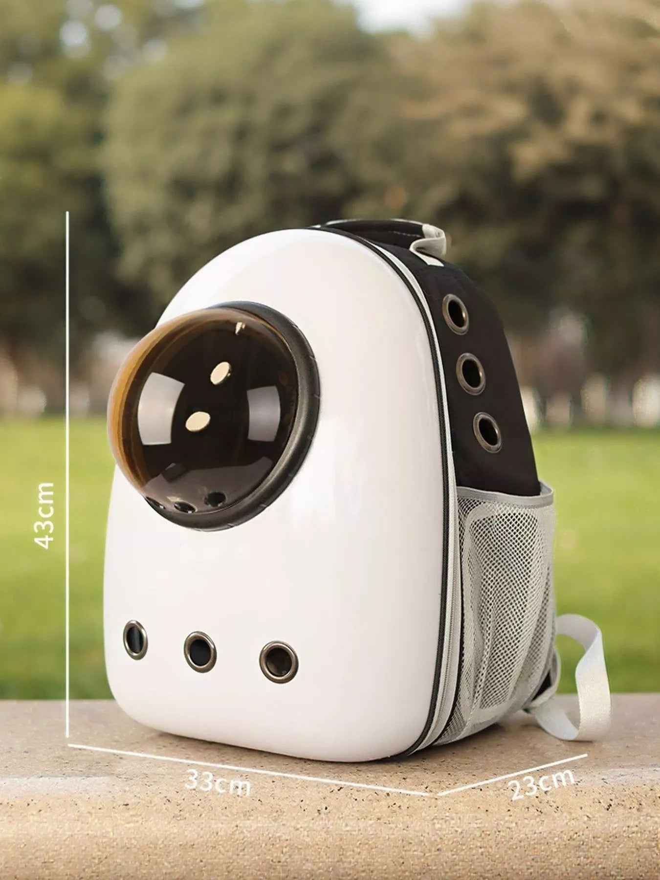 Space Capsule Transparent Pet Carrier Backpack Cat Dog Travel Bag