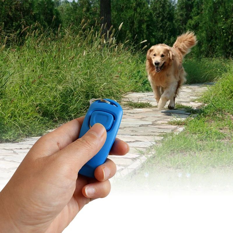 Dog Clicker Whistle Training Set Puppy Behavior Tool with Keyring
