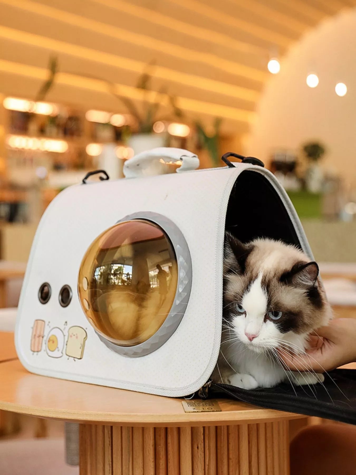 Bubble Window Pet Carrier Backpack Portable Cat Dog Travel Bag
