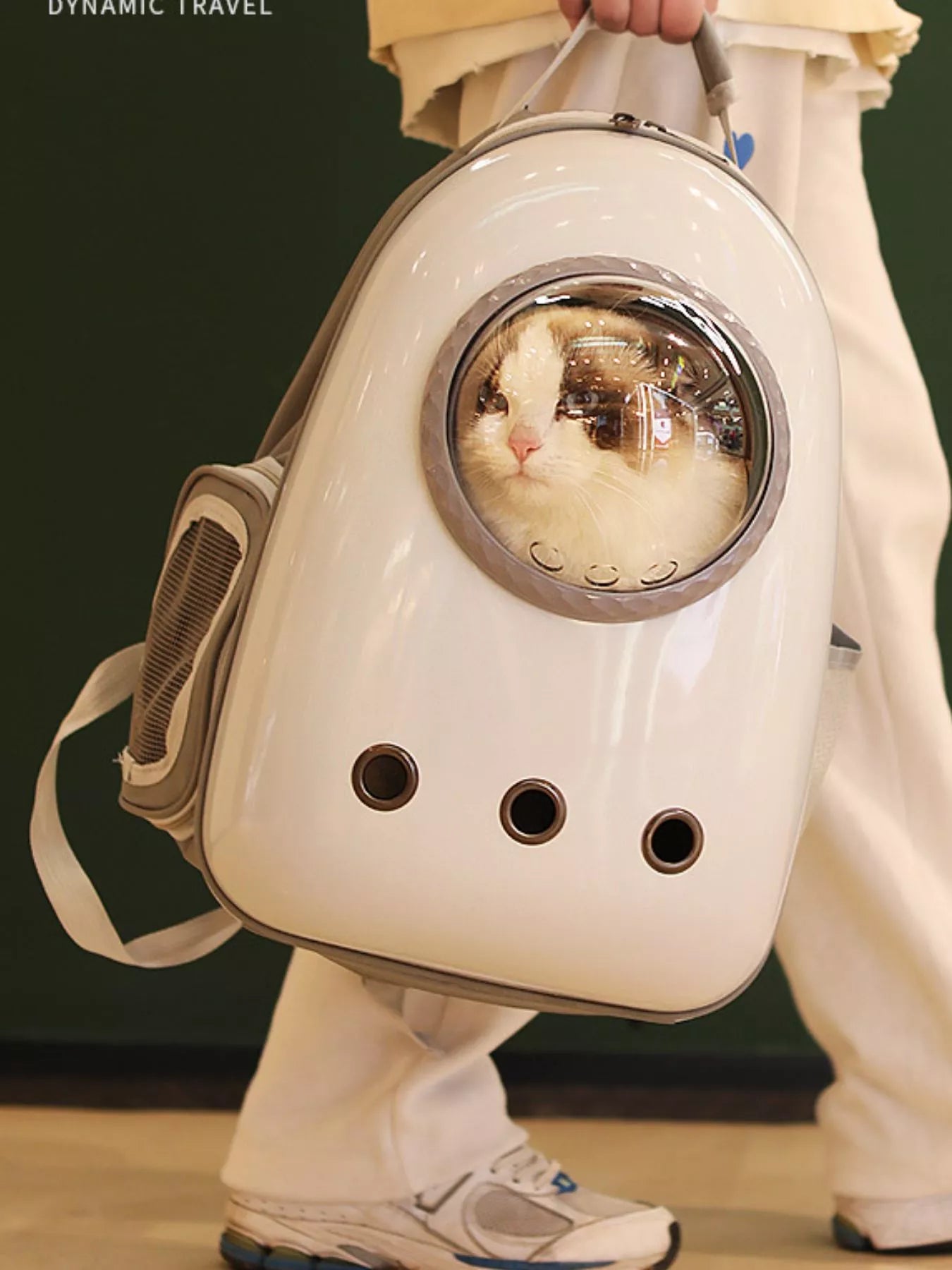 Space Capsule Transparent Pet Carrier Backpack Cat Dog Travel Bag