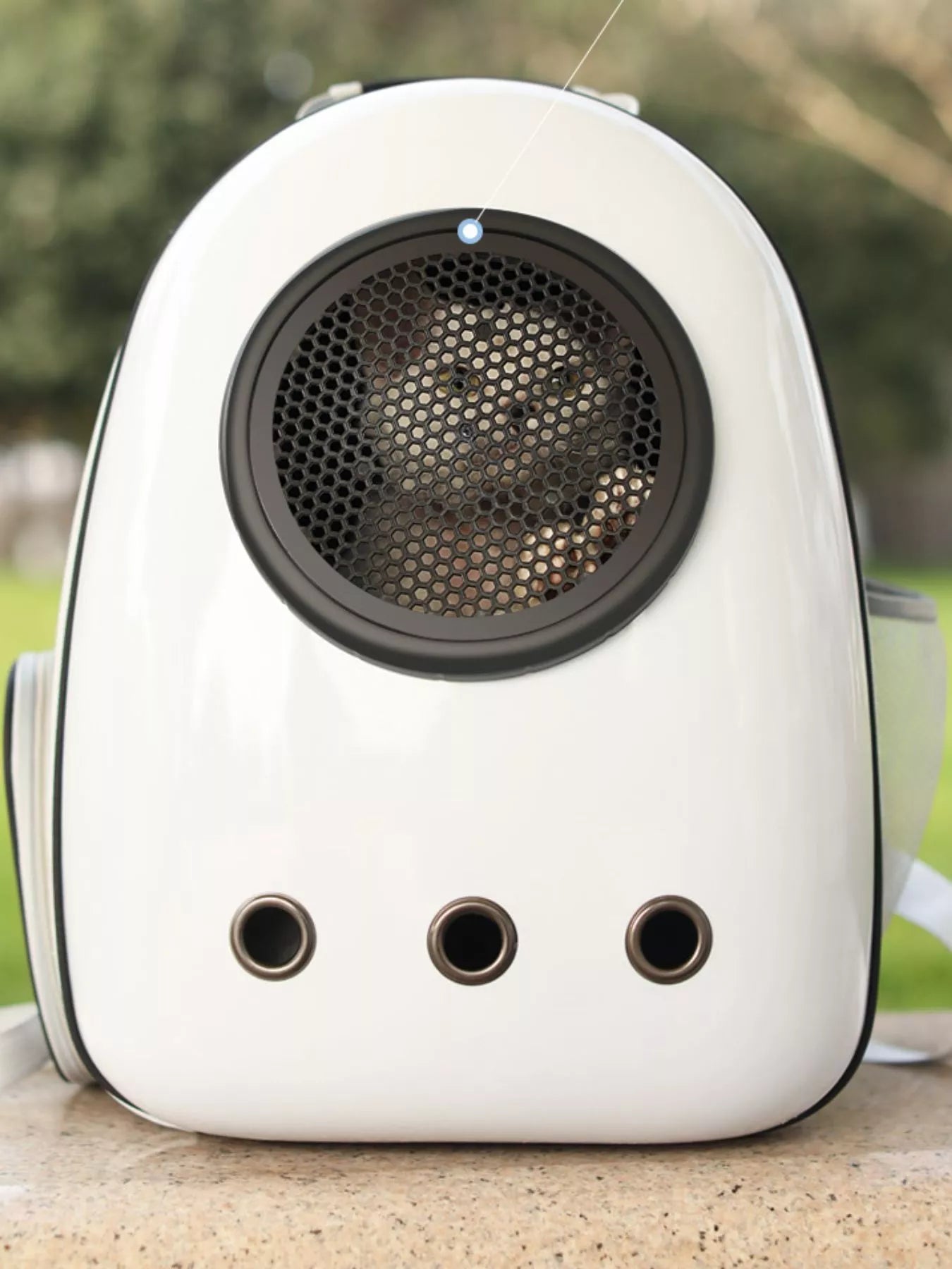 Space Capsule Transparent Pet Carrier Backpack Cat Dog Travel Bag