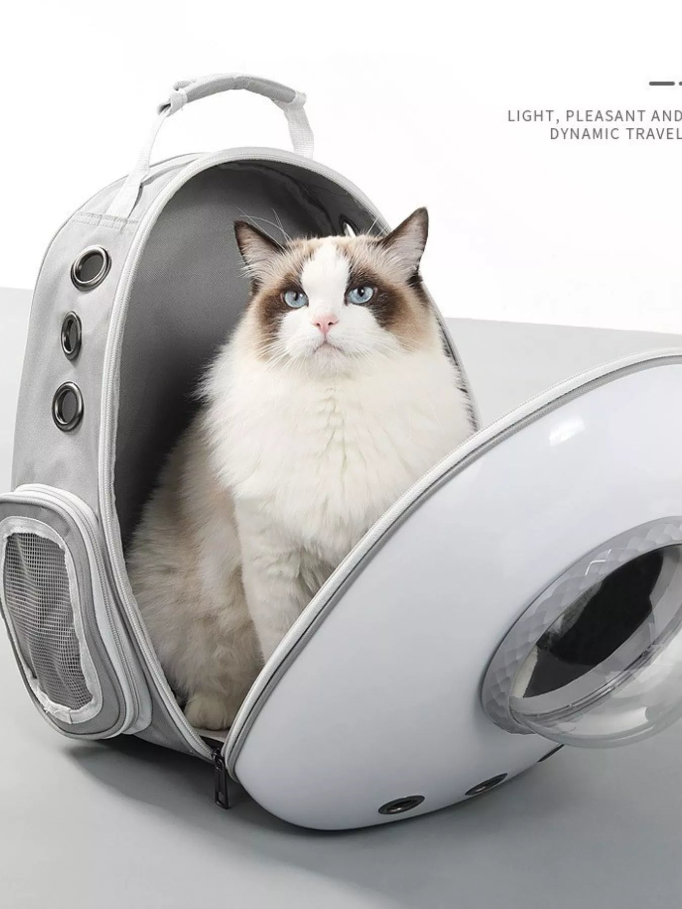 Space Capsule Transparent Pet Carrier Backpack Cat Dog Travel Bag