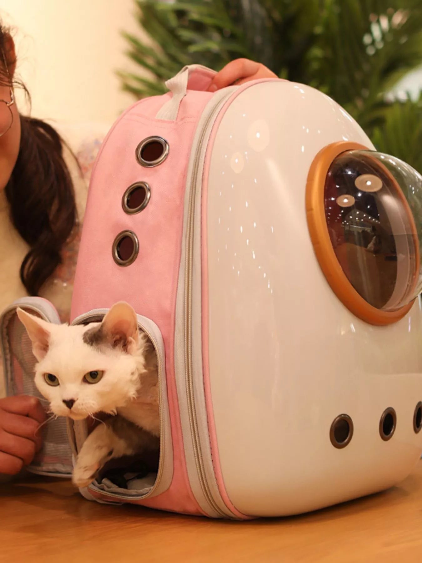 Space Capsule Transparent Pet Carrier Backpack Cat Dog Travel Bag