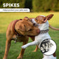 Spiked Black Adjustable Dog Collar Soft Padded Leather Punk Style