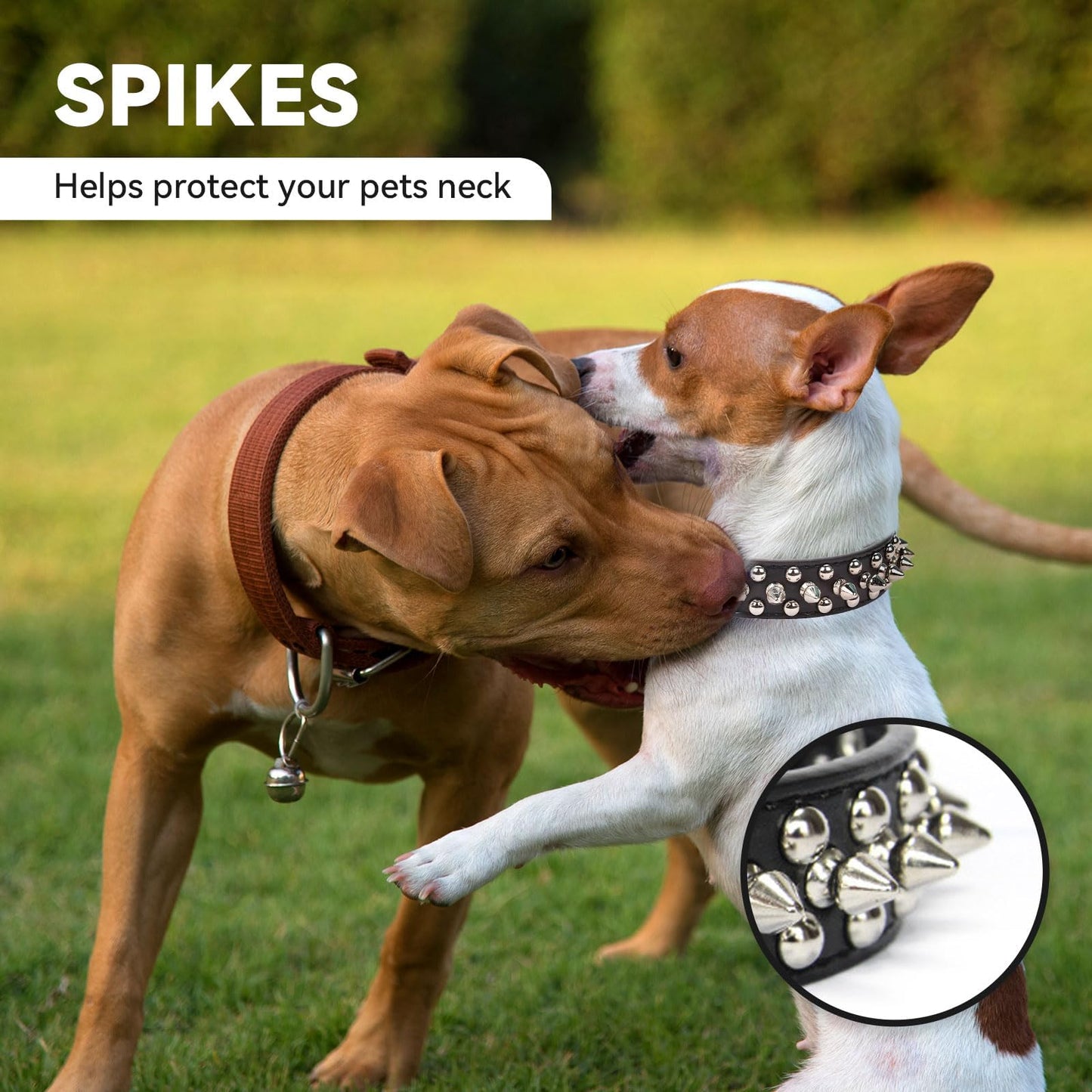 Spiked Black Adjustable Dog Collar Soft Padded Leather Punk Style