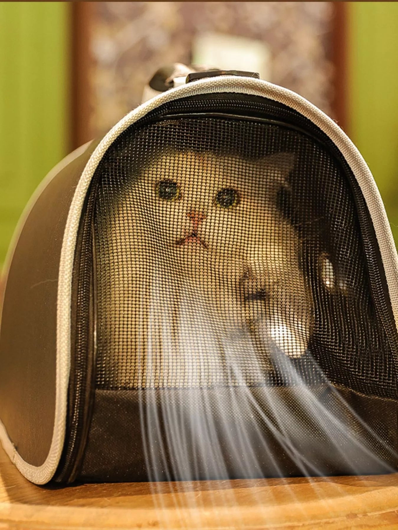 Bubble Window Pet Carrier Backpack Portable Cat Dog Travel Bag