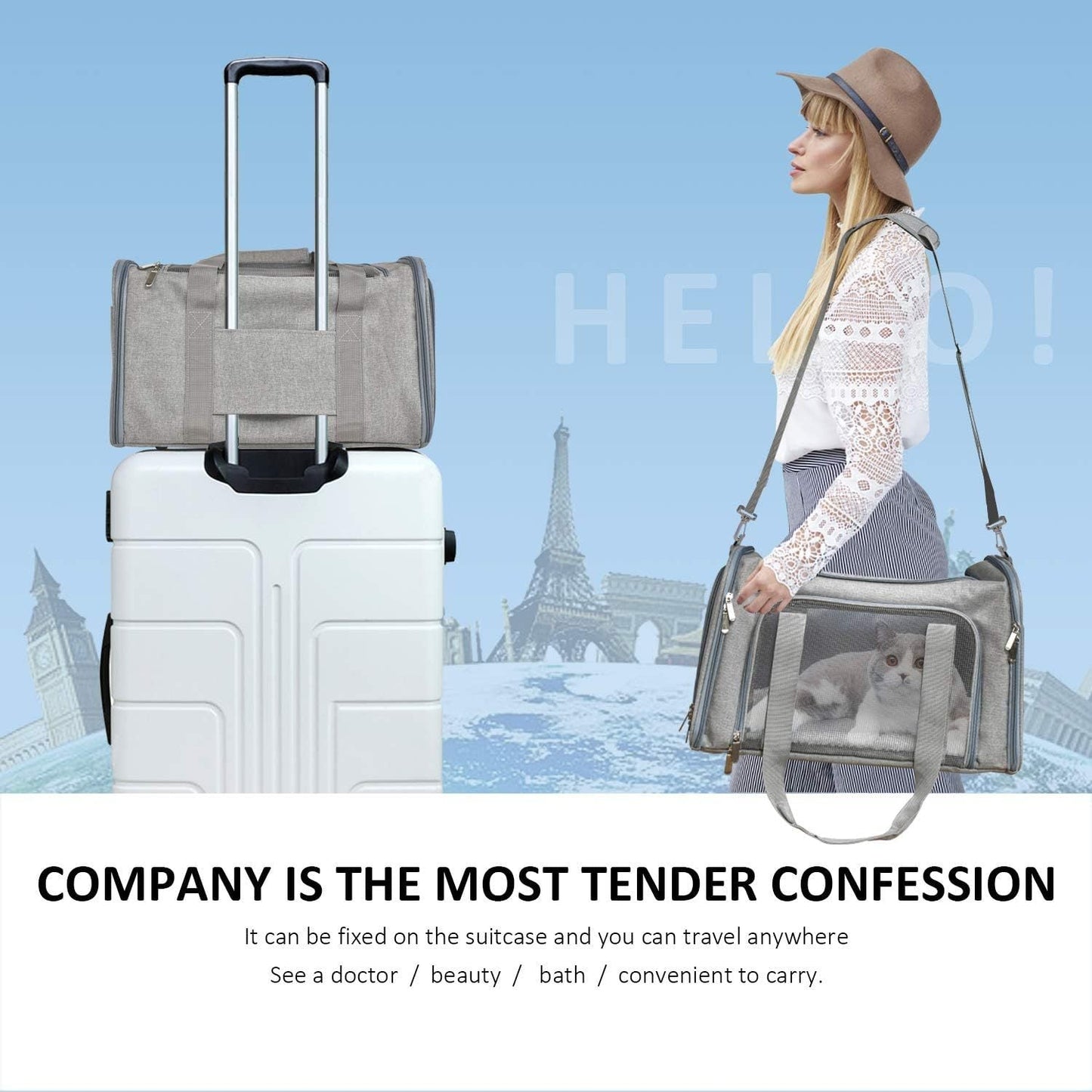 Soft Sided Dog Carrier Collapsible Travel Bag for Small Pets Grey