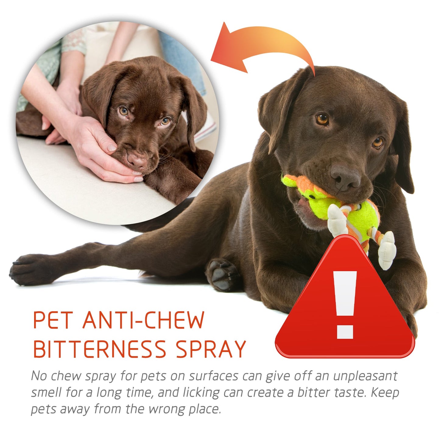Pet Anti Chew Spray Dog Cat Behavior Training Anti Bite Solution