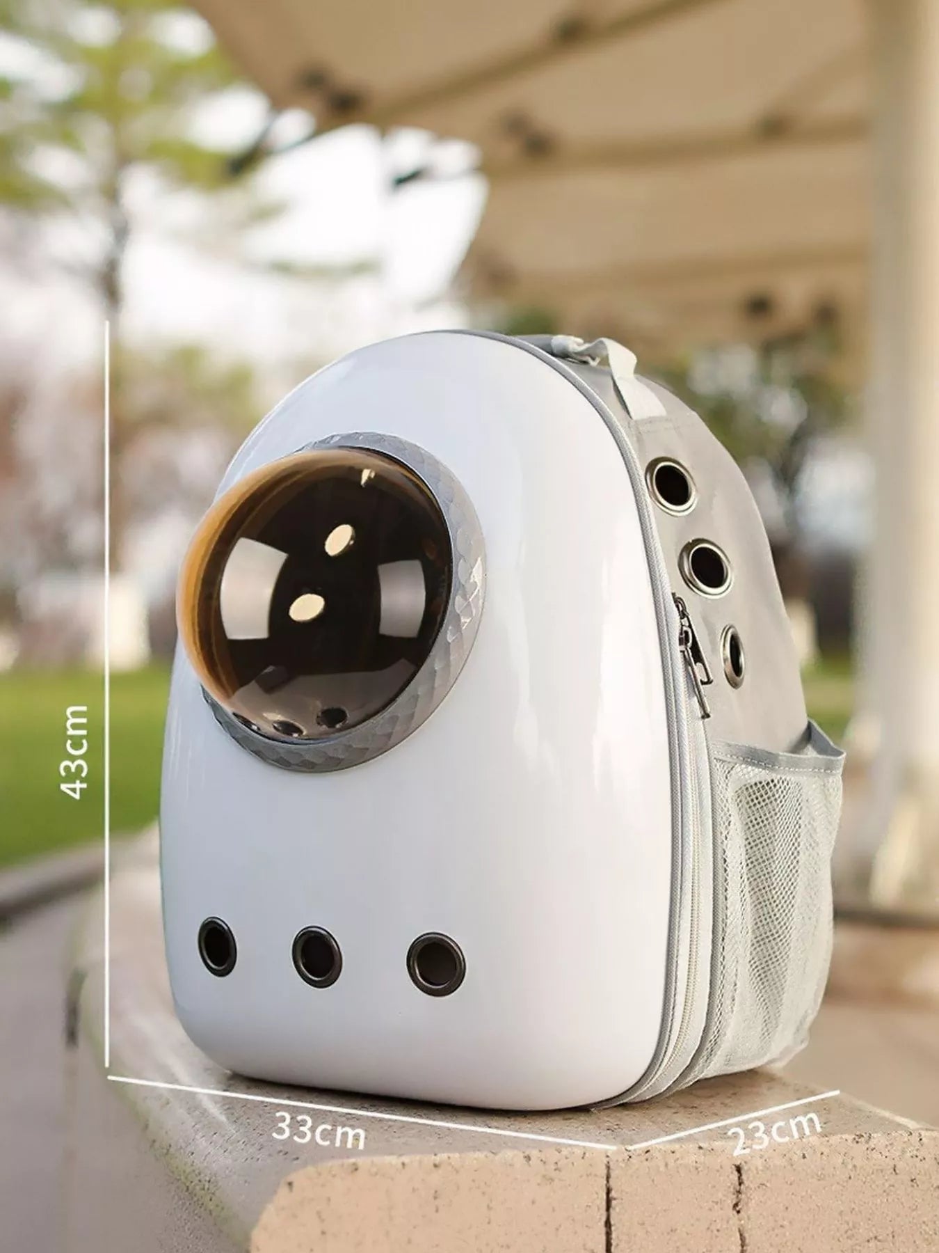 Space Capsule Transparent Pet Carrier Backpack Cat Dog Travel Bag