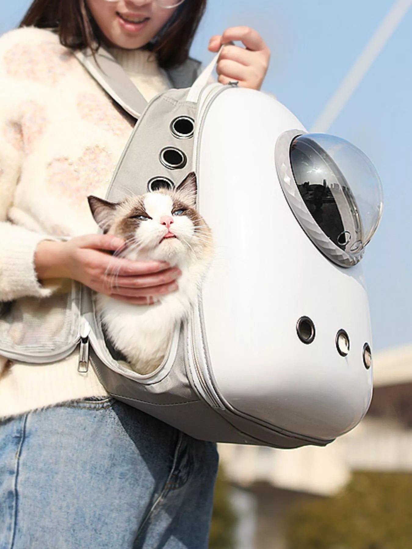 Space Capsule Transparent Pet Carrier Backpack Cat Dog Travel Bag