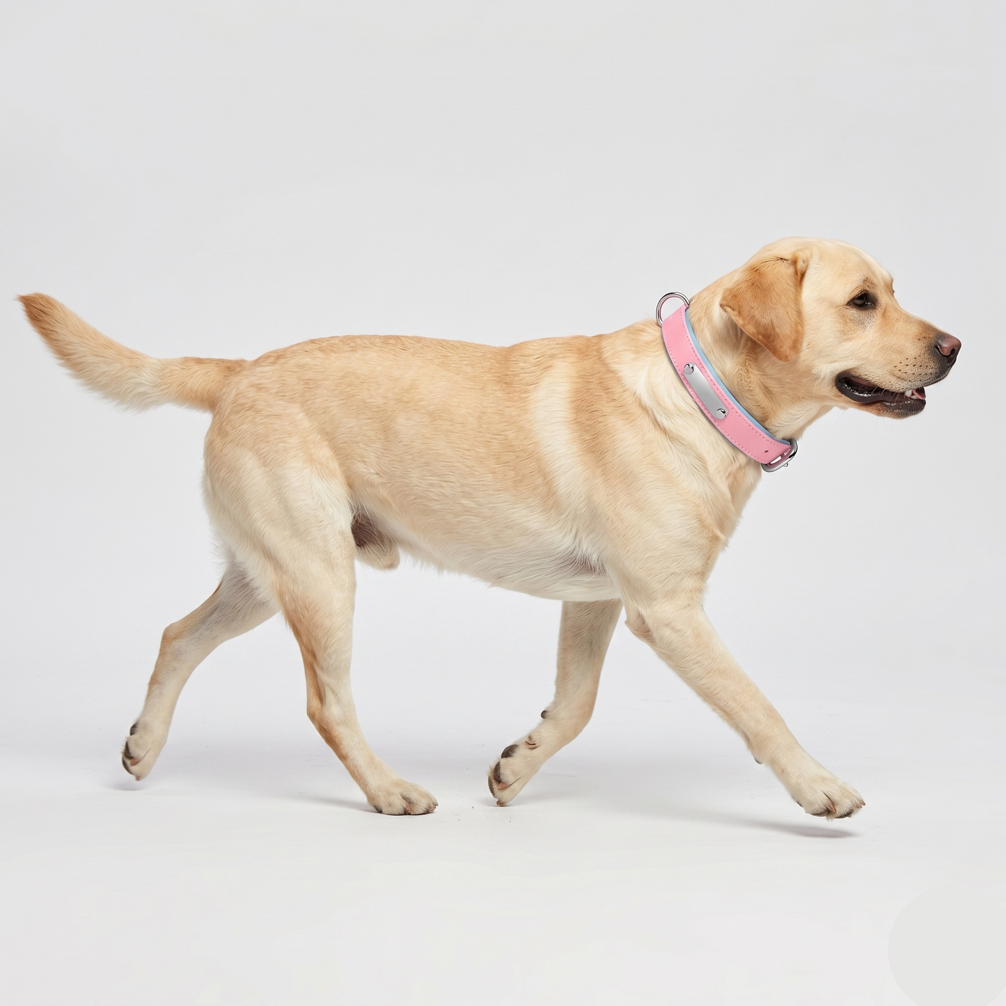 Breathable Cotton Dog Collar Adjustable Soft Comfortable Pet Neck Collar
