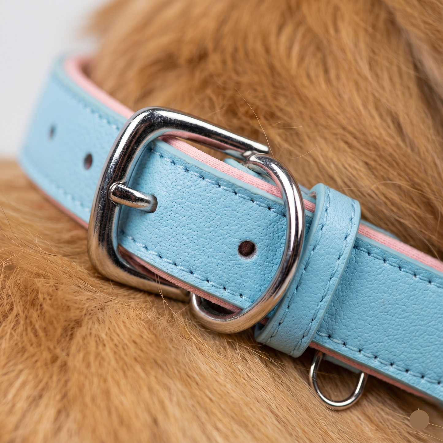 Breathable Cotton Dog Collar Adjustable Soft Comfortable Pet Neck Collar