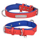 Dual D-Ring PU Leather Dog Collar with Nameplate