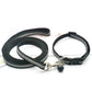 Reflective Dog Leash Durable Cloth Pet Walking Safety Lead Strap