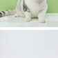 Head-Mounted Cat Teaser Interactive Pet Toy Feather Wand Fun