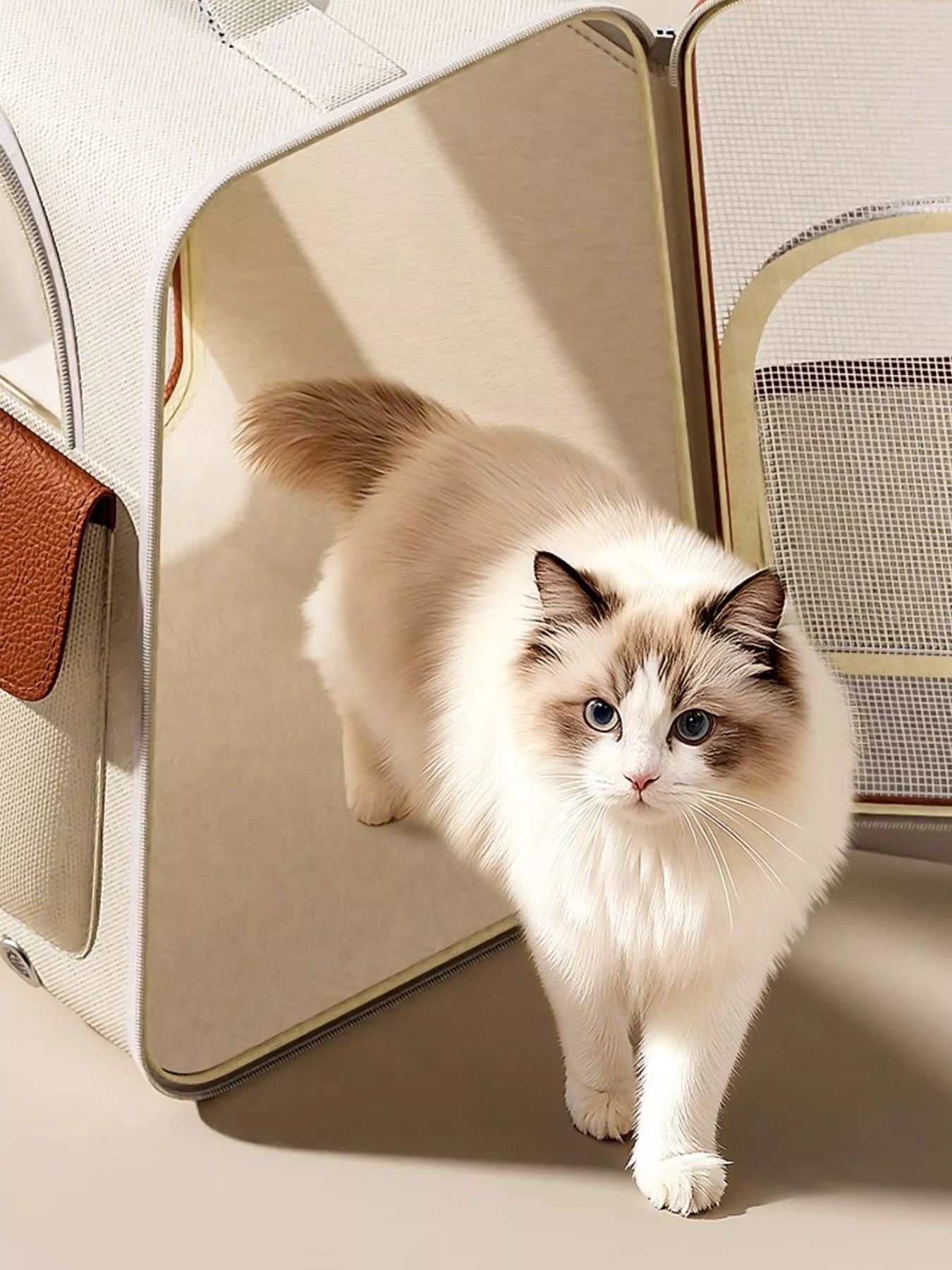 Portable Breathable Pet Carrier Backpack Dog Cat Travel Outdoor Bag