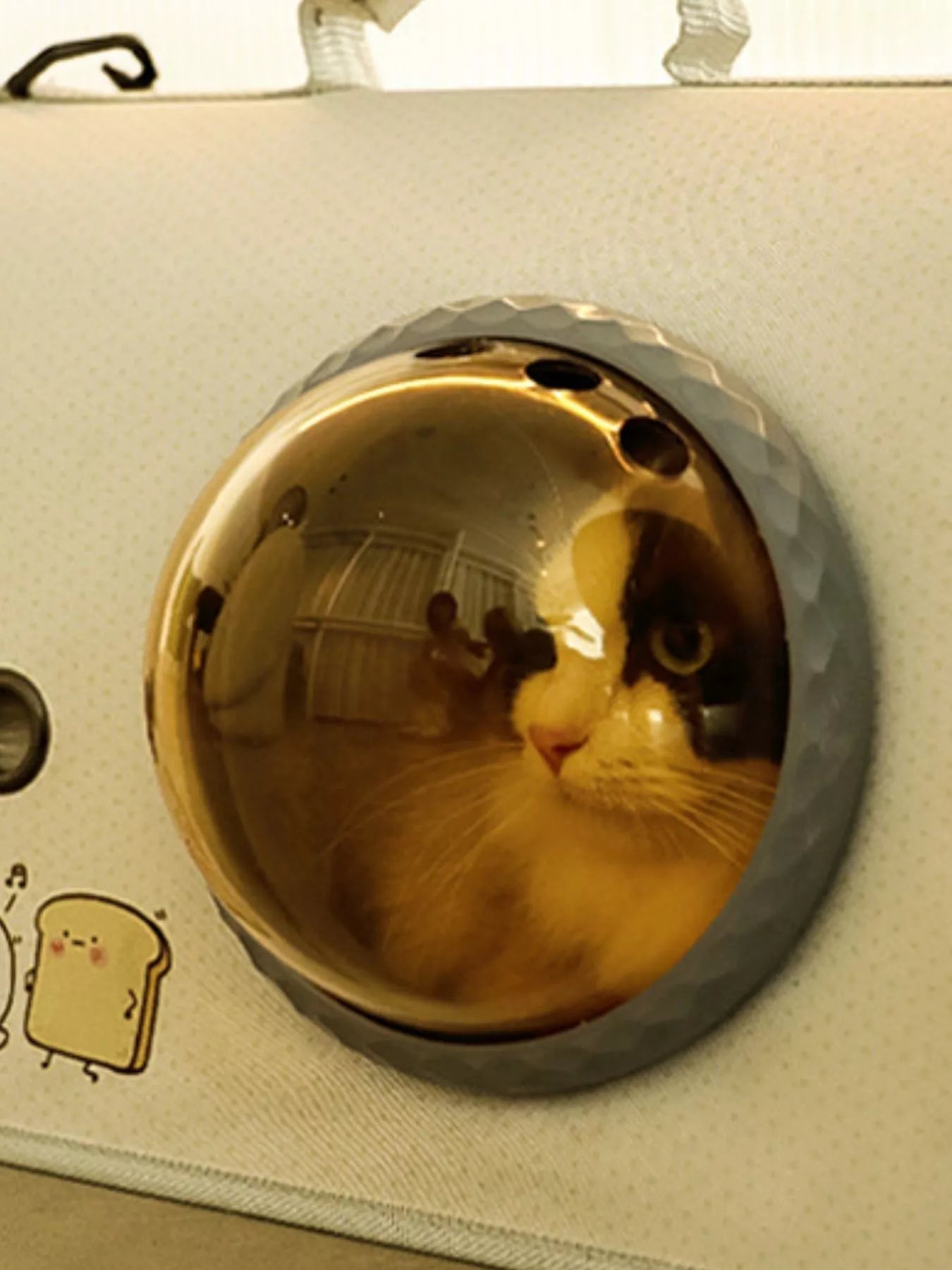 Bubble Window Pet Carrier Backpack Portable Cat Dog Travel Bag
