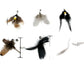 Feather Bell Cat Toy Replacement Head Interactive Hunting Play Teaser