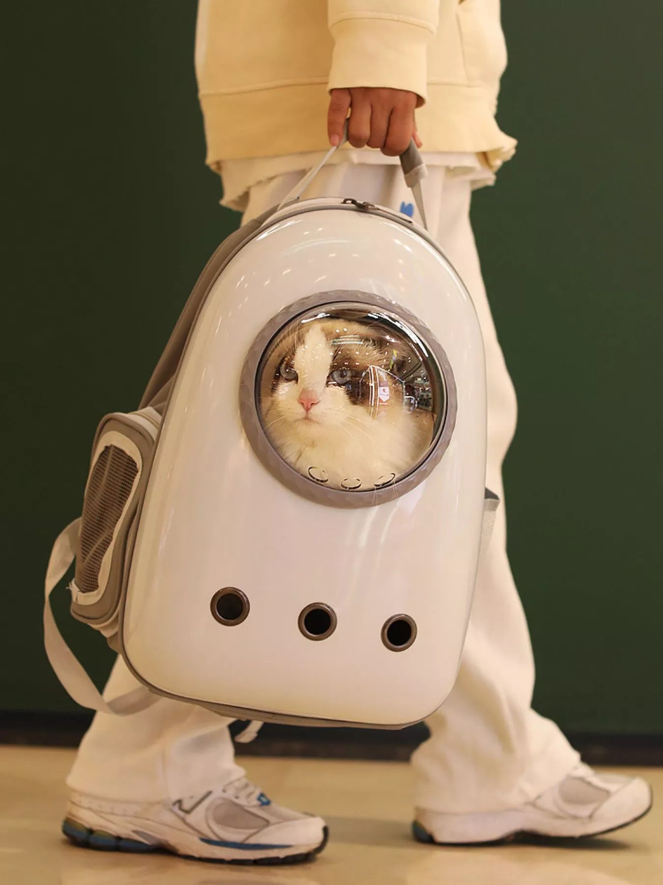 Space Capsule Transparent Pet Carrier Backpack Cat Dog Travel Bag