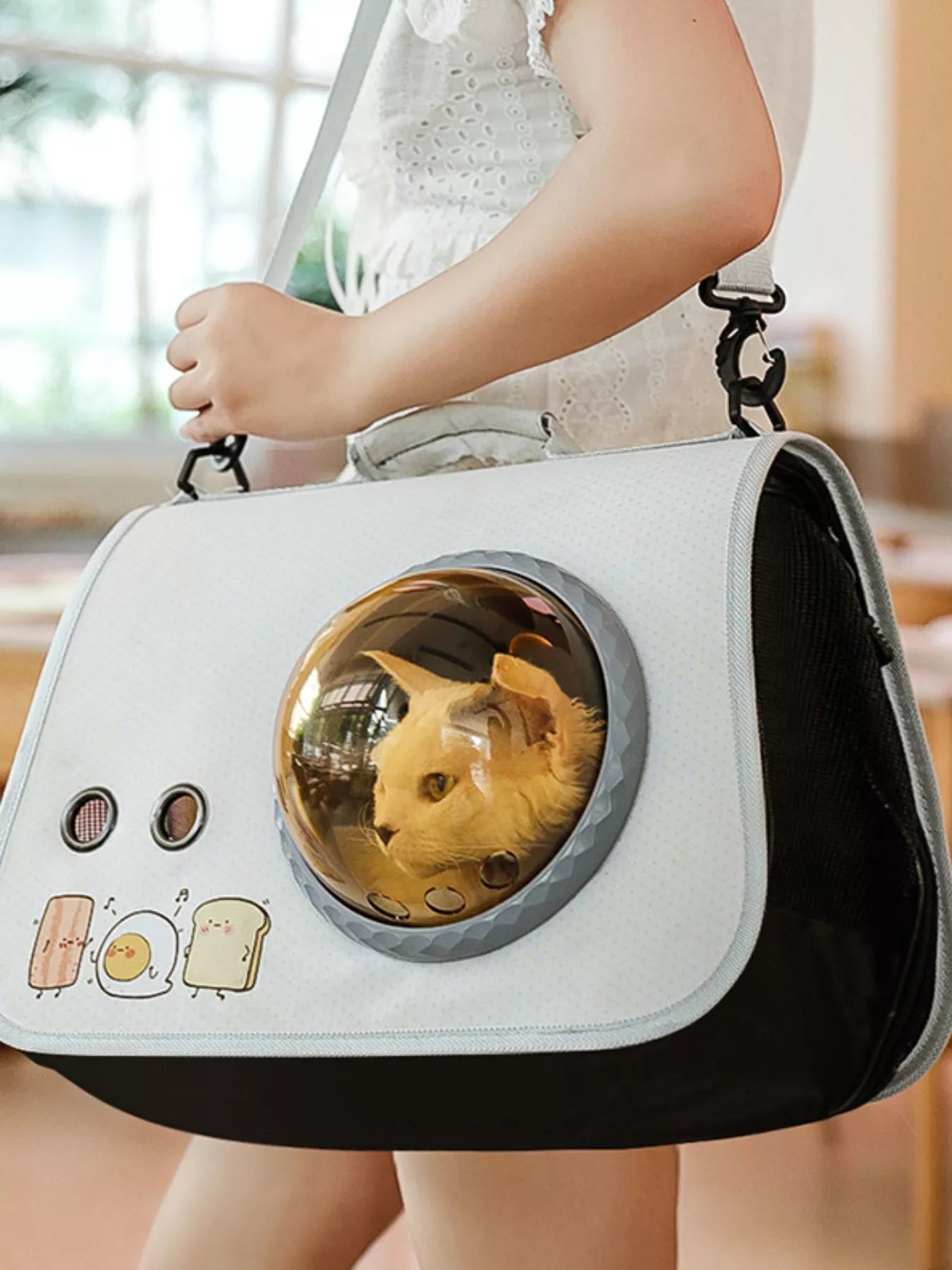Bubble Window Pet Carrier Backpack Portable Cat Dog Travel Bag