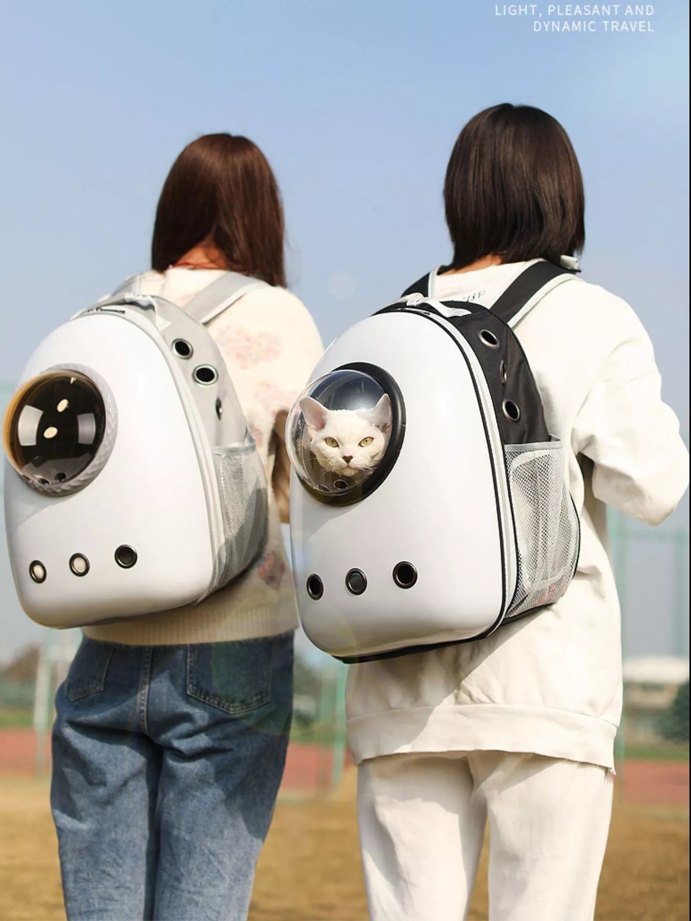 Space Capsule Transparent Pet Carrier Backpack Cat Dog Travel Bag