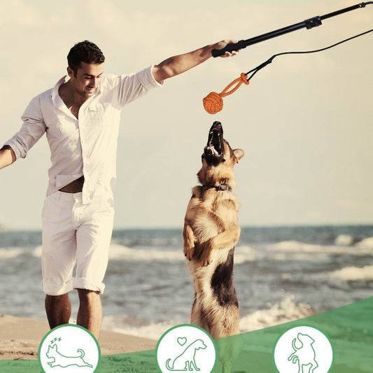 Telescopic Cat Teaser Wand Funny Dog Stick Interactive Training Rod
