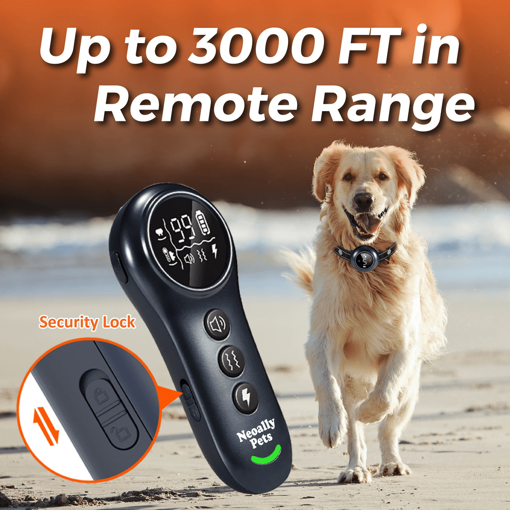 2-in-1 Dog Training Bark Control Rechargeable Waterproof Collar
