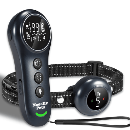 2-in-1 Dog Training Bark Control Rechargeable Waterproof Collar