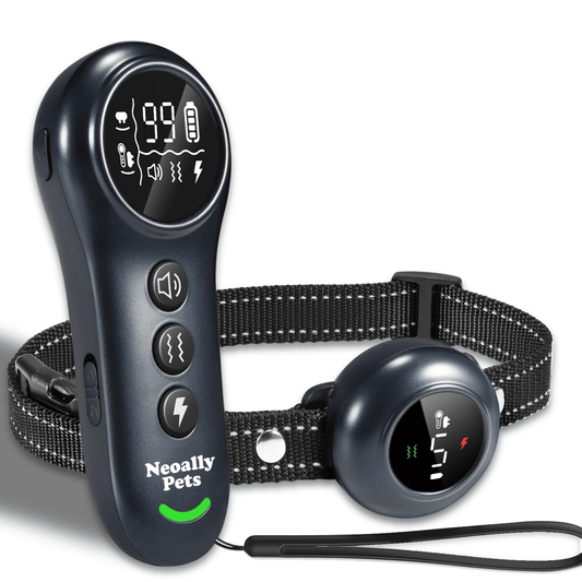 2-in-1 Dog Training Bark Control Rechargeable Waterproof Collar