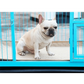 Reusable Waterproof Dog Pee Pad Washable Pet Training Mat Diaper
