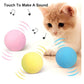 Interactive Cat Toy Ball with Catnip Squeaky Plush Training Toy
