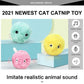 Interactive Cat Toy Ball with Catnip Squeaky Plush Training Toy