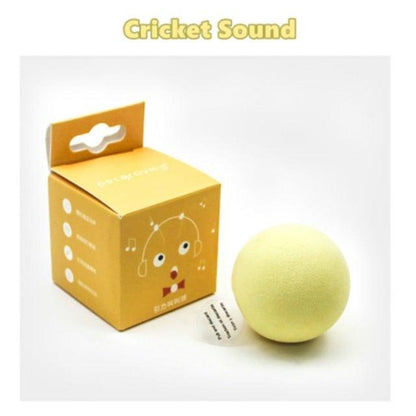 Interactive Cat Toy Ball with Catnip Squeaky Plush Training Toy