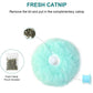 Interactive Cat Toy Ball with Catnip Squeaky Plush Training Toy