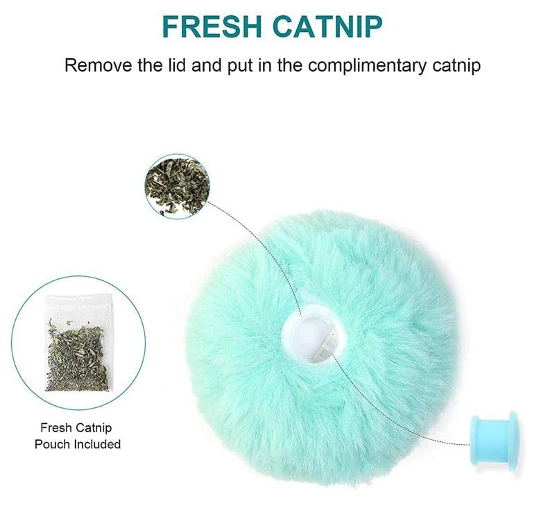 Interactive Cat Toy Ball with Catnip Squeaky Plush Training Toy