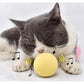 Interactive Cat Toy Ball with Catnip Squeaky Plush Training Toy