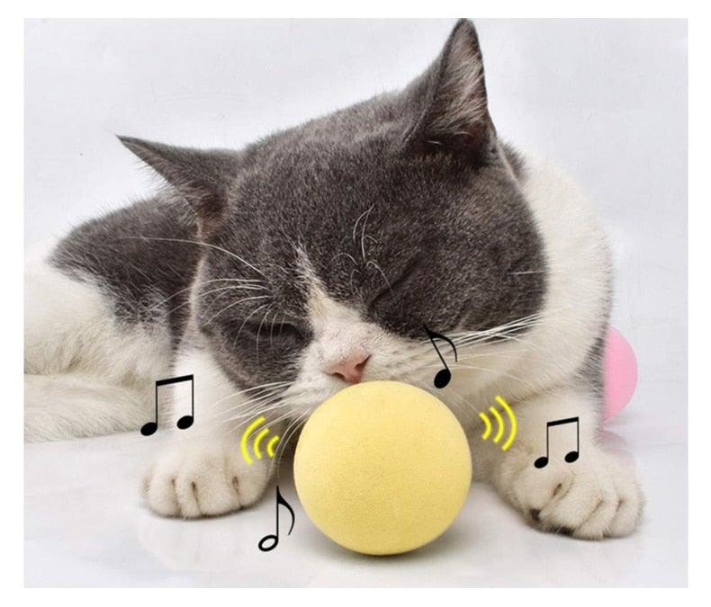 Interactive Cat Toy Ball with Catnip Squeaky Plush Training Toy